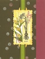 Jonquil and Dots